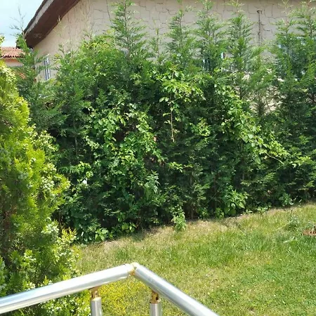 Fill 2 Holiday home *